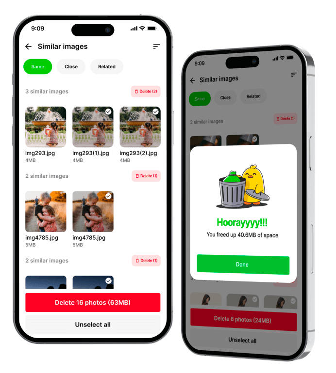 Illustration of Similar Images